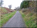 Lanchester Valley Railway Path