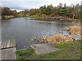 Greencroft Pond