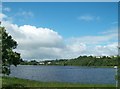 Race Course Lough, Enniskillen