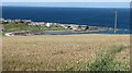 Wheat, Portsoy