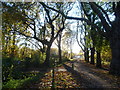 Looking along the path across Malden Golf Course towards Cambridge Avenue