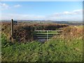 Footpath to Birch Cottages