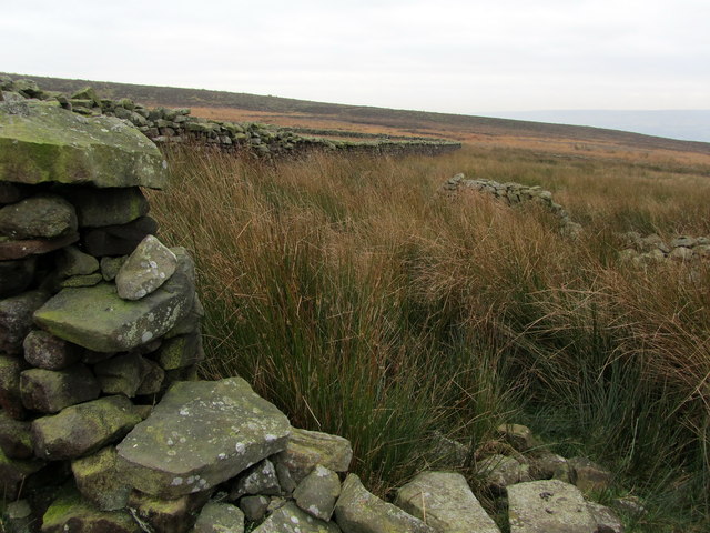 Stone Enclosure on Askwith Moor The preponderence of rushes on this part of the moor denote a wet spongy surface, leading to difficulty in progress