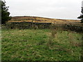 Footpath leading onto Low Round Hill