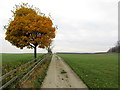 Access Lane from Dunkirk Farm