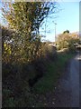 Spring and animal trough at Burston