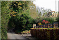 Lane and hillside at Broughton, Shropshire