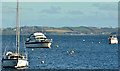 Moorings, Whiterock, Strangford Lough