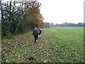 Footpath from Statham to Bridgewater canal