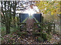 Footbridge over Trans Pennine Trail, Lymm