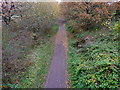 Trans Pennine Trail on western outskirts of Lymm