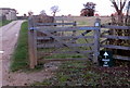 Bridleway towards Newton Blossomville