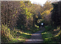 South Staffordshire Railway Walk at Wombourne