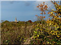 Autumn colours along Stretton Lane