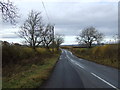 Lime Lane heading west