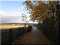 A path leading to Warren Walk