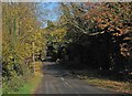 TL4647 : Whittlesford: a jogger on Whippletree Road by John Sutton