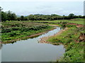 A bend in the River Monnow near Llangua