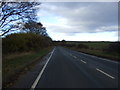 A177 heading north 