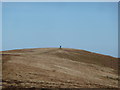 Solo walker on the Gwent ridgeway