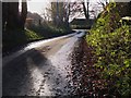 On the road near Howden farm