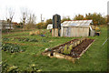 Organic vegetable garden