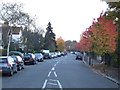TQ3273 : Autumn on Burbage Road, Dulwich by Malc McDonald