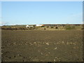 Farmland towards the A1(M)