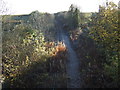 Disused railway heading south