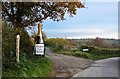 East Pennard: Entrance to Drove Lane and Vineyard