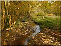 NS3879 : Tributary of the Mill Burn by Lairich Rig