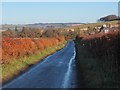 Road near Baittens