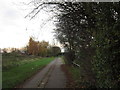 A path leading to Hull City Centre