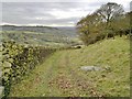 Track leading down to Berristall Hall