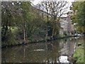 Old mill beside Macclesfield Canal at Bollington