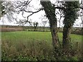 Ramackan Townland