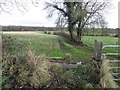 A track along a field, Ramackan