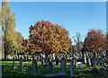 Various monuments, West Norwood Cemetery (13)