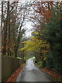 Farm driveway to Avenue Farm