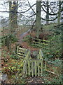 Footbridge and path across Oldhay Brook