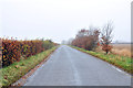 Minor road near Croftsmuir