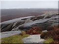SK2680 : Rocks on Burbage Moor by Andrew Hill