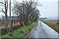 Minor road near Colliston