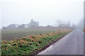 Road past Forehill in the mist