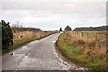 Minor road near Brechin