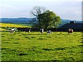 Duggleby High Barn