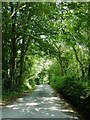 The lane to Llwyn-y-groes, Ceredigion