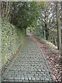 Footpath on Woodhouse Scar, Skircoat