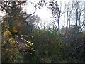 Footbridge beside the River Rother