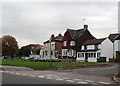 Houses and pubs on the green, Thames Ditton